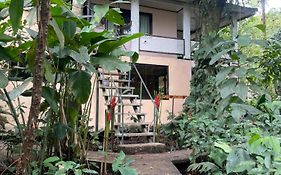 Casa Jaguar Tortuguero