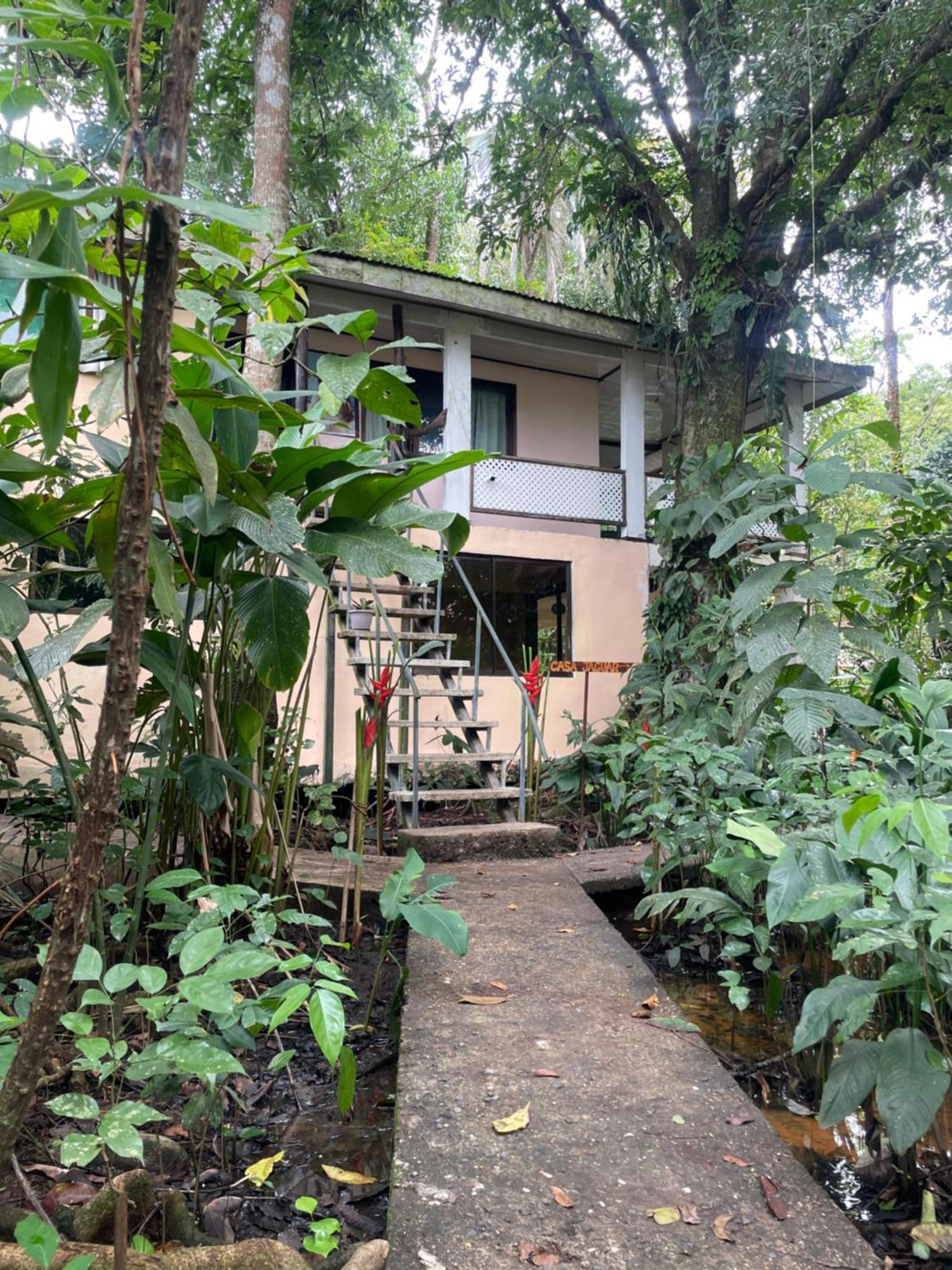 Villa Casa Jaguar Tortuguero Exterior foto