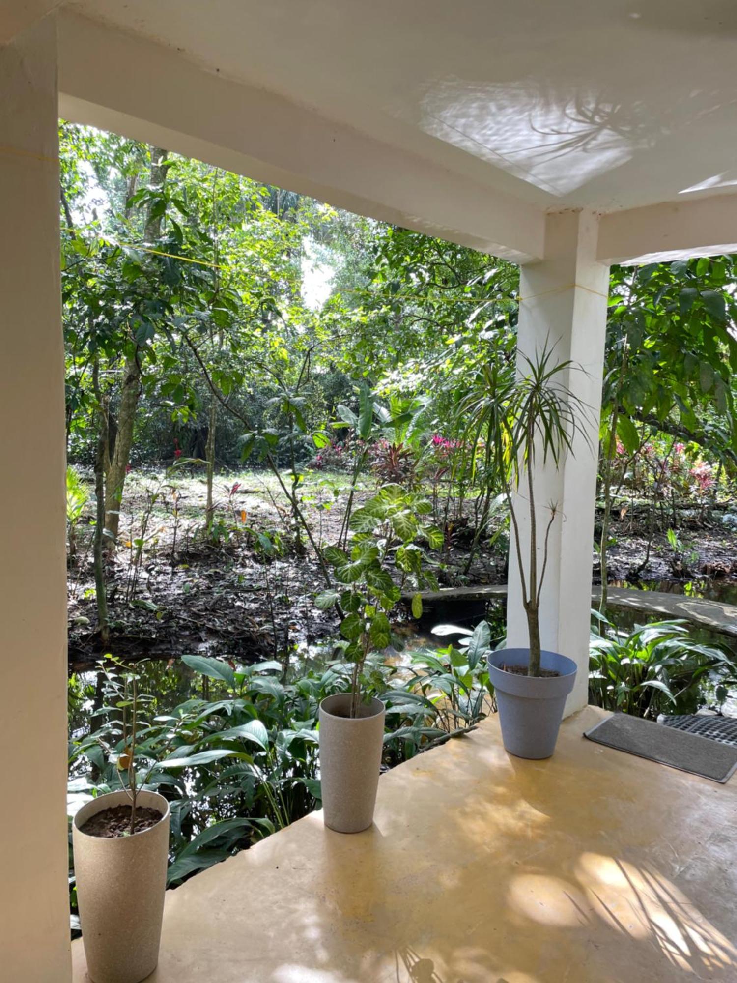 Villa Casa Jaguar Tortuguero Exterior foto